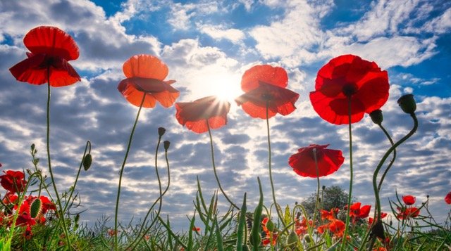 blog-header-image
